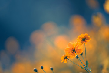 南京适合自习的地方。