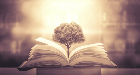 空间站在什么轨道上