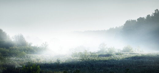 广西贵港市桂平市有多少人口