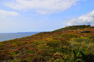路由器拨号老是掉线怎么弄