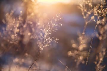 河南省鹤壁山城区到山东日照坐 小轿车有多少公里-