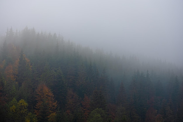 西安有几个地铁路线请帮忙