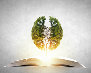 南京适合自习的地方。