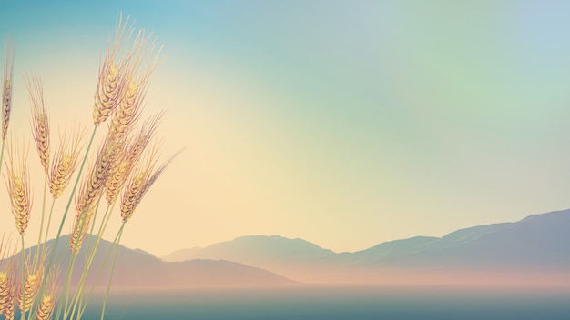 基因组dna提取的原理