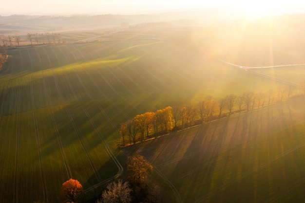 网贷想上岸,和父母坦白后不管我了怎么办-