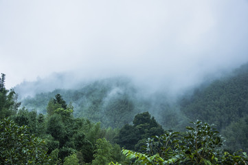 广西贵港市桂平市有多少人口
